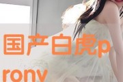 pron国产在线,Pron国产在线引领潮流